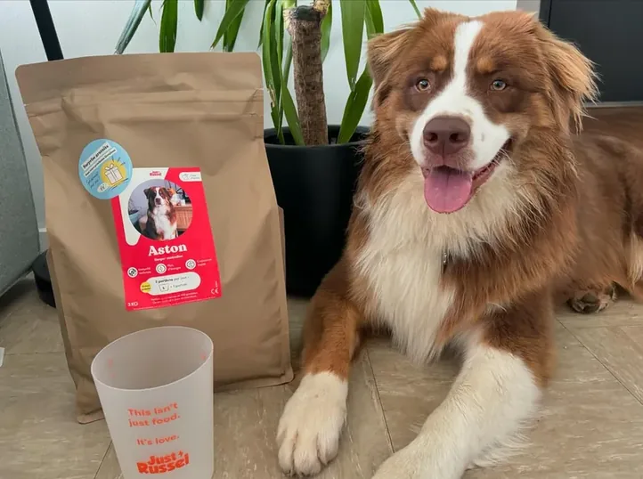 Roodbruine Australische herder naast de verpakking van Just Russel en een doseerschep